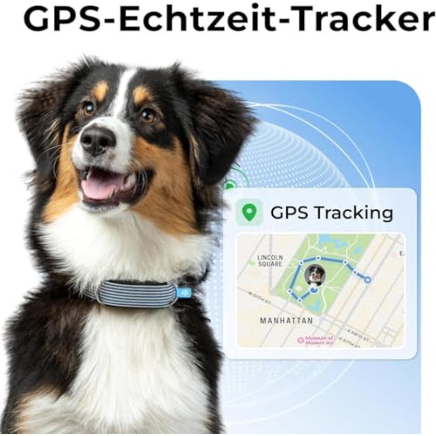 Compact Lightwght Dog Health G - Health Wellness Activities recension och pris