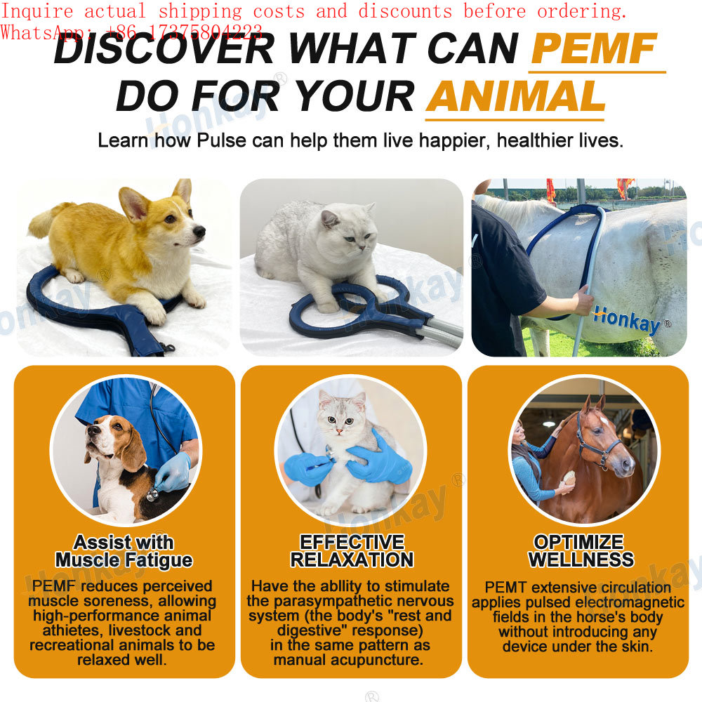 Active Life Device for Dog Bod - Health Wellness Activities recension och pris