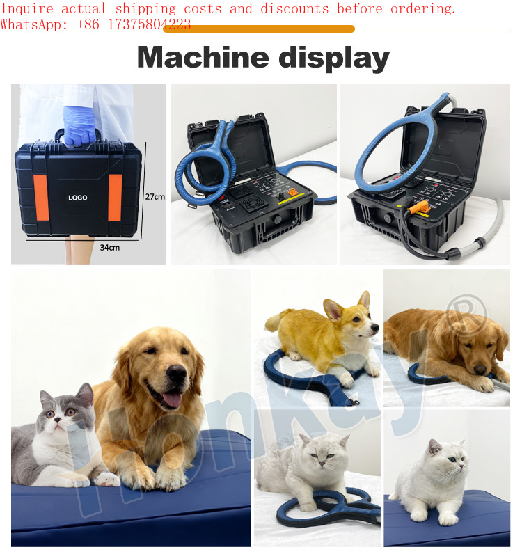 Active Life Device for Dog Bod - Health Wellness Activities recension och pris